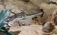 Alice Springs Highlights Half-Day Tour - thumb 7