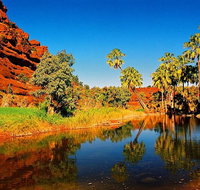 Palm Valley 4WD Day Tour - Accommodation ACT