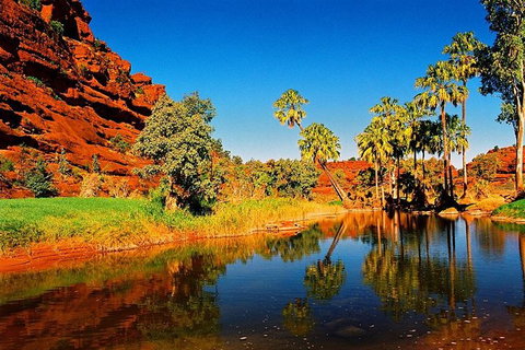 Palm Valley 4WD Day Tour - Accommodation ACT 1