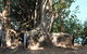 Darwin Walking Tour: World War II Reflections - thumb 6