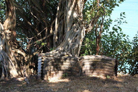 Darwin Walking Tour: World War II Reflections - Accommodation ACT 6