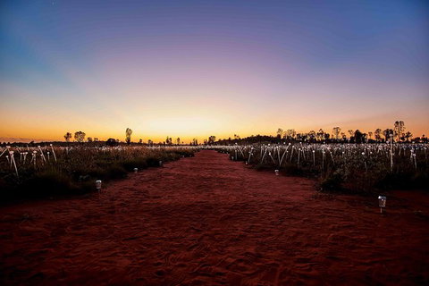 Uluru & Kata Tjuta Sights & Sounds - Accommodation ACT 16