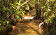 Katherine Day Tour From Darwin Including Katherine Gorge Cruise - thumb 10
