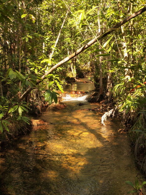 Katherine Day Tour From Darwin Including Katherine Gorge Cruise - Accommodation ACT 10