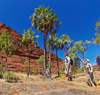 Palm Valley 4WD Tour from Alice Springs - Accommodation ACT