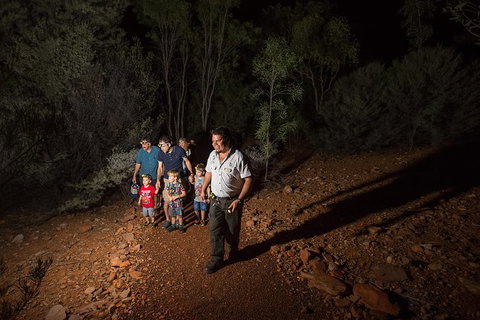 Alice Springs Desert Park Nocturnal Tour - Accommodation ACT 6