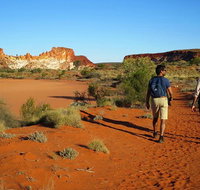 Chambers Pillar and Rainbow Valley 1 Day 4WD Tour - Accommodation ACT