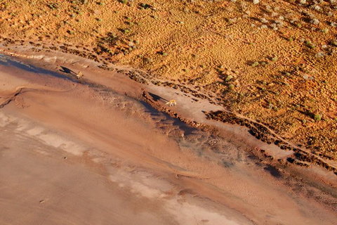 Scenic Flight: Lizard Safari - Accommodation ACT 4
