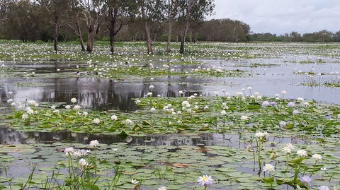 Kakadu, Nourlangie And Yellow Waters Tour From Darwin - Accommodation ACT 12