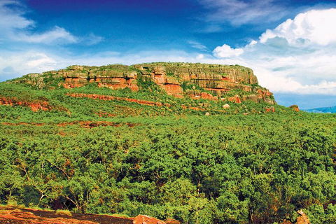 Kakadu, Nourlangie And Yellow Waters Tour From Darwin - Accommodation ACT 36