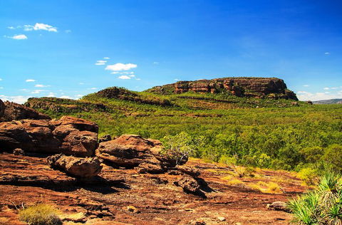 Kakadu, Nourlangie And Yellow Waters Tour From Darwin - Accommodation ACT 34