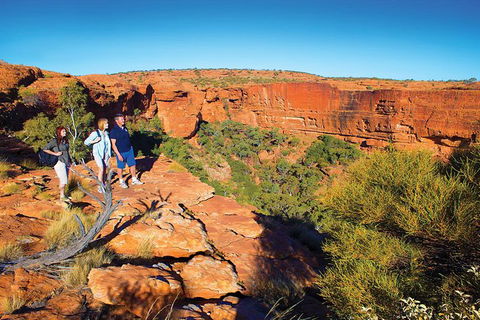 Coach Transfer From Ayers Rock To Kings Canyon - Accommodation ACT 6