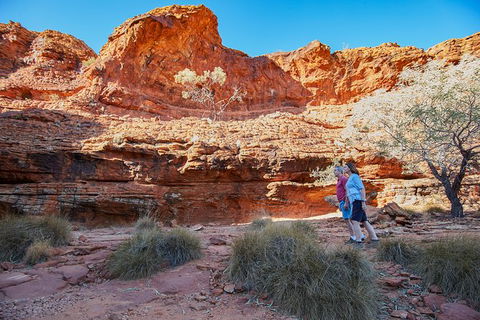 Coach Transfer From Ayers Rock To Kings Canyon - Accommodation ACT 7