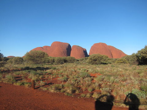 Uluru Sunrise And Kata Tjuta Half Day Trip - Accommodation ACT 5