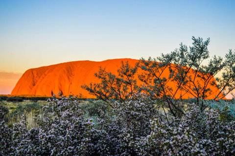 Uluru Sunrise And Kata Tjuta Half Day Trip - Accommodation ACT 2