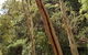 3-Day Tour From Uluru (Ayers Rock) To Alice Springs Via Kings Canyon - thumb 5