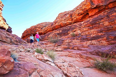 3-Day Tour From Uluru (Ayers Rock) To Alice Springs Via Kings Canyon - Accommodation ACT 27