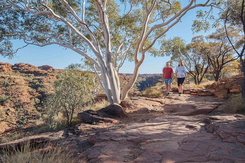 3-Day Tour From Uluru (Ayers Rock) To Alice Springs Via Kings Canyon - Accommodation ACT 26