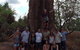 Litchfield National Park And Jumping Crocodile Cruise - thumb 4