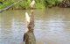 Litchfield National Park And Jumping Crocodile Cruise - thumb 10