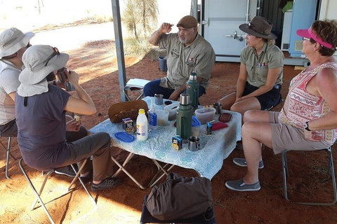 Aboriginal Homelands Experience From Ayers Rock Including Sunset - Accommodation ACT 2