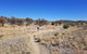 East MacDonnell Ranges 1 Day 4WD Tour - thumb 3