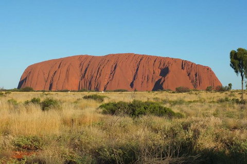 Overnight Uluru (Ayers Rock) Small-Group Camping Tour - Accommodation ACT 8