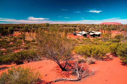 Overnight Uluru (Ayers Rock) Small-Group Camping Tour - Accommodation ACT 0