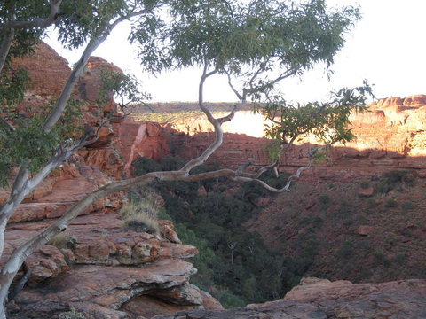 3-Day Uluru And Kings Canyon Camping Experience From Alice Springs Including Outback BBQ Dinner - Accommodation ACT 1