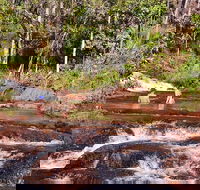 Litchfield National Park Day Tour from Darwin With Waterfalls And Buley Rockhole - Accommodation ACT