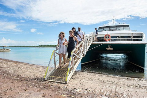 Tiwi By Design Day Tour - Accommodation ACT 1