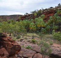 Palm Valley and Hermannsburg 1 Day 4WD Tour - Accommodation ACT