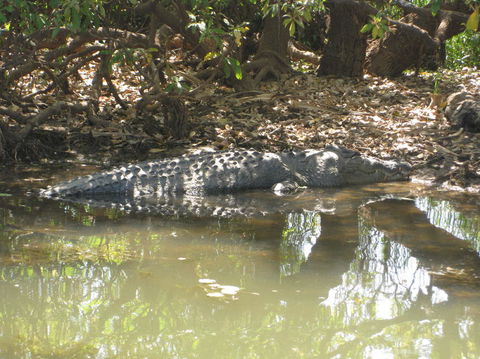 2-Day Kakadu And Arnhem Land Tour From Darwin - Accommodation ACT 2