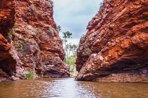 Uluru (Ayers Rock) To Alice Springs One-Way Shuttle - Accommodation ACT 9