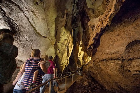 Cutta Cutta Caves Nature Park Guided Tours - Accommodation ACT 2