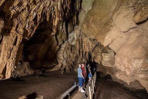 Cutta Cutta Caves Nature Park Guided Tours - Accommodation ACT 3