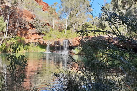 20 Day Darwin To Perth Adventure - Accommodation ACT 10