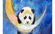 Panda Moon - Six Tanks 7.00-9.00pm - thumb 0