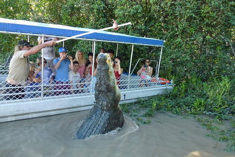 Jumping Croc Cruise - Accommodation ACT 0