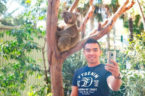 All Inclusive Full-Day Blue Mountains Trip From Sydney - Accommodation ACT 1