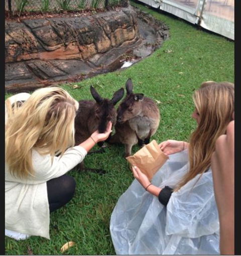 Port Stephens Day Tour With Dolphin Watching, Sandboarding & Australian Wildlife - Accommodation ACT 15