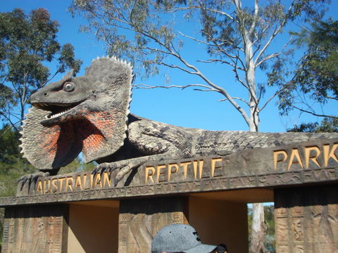 Port Stephens Day Tour With Dolphin Watching, Sandboarding & Australian Wildlife - Accommodation ACT 7