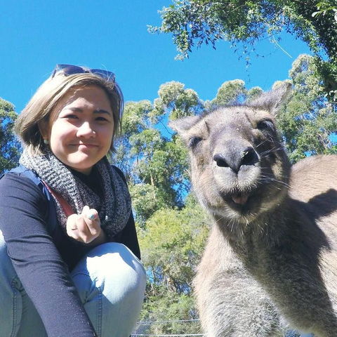 Port Stephens Day Tour With Dolphin Watching, Sandboarding & Australian Wildlife - Accommodation ACT 12