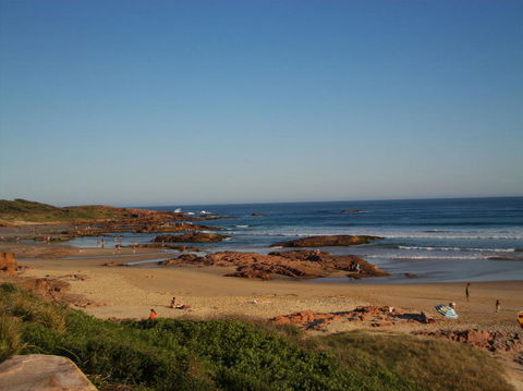 Port Stephens Day Tour With Dolphin Watching, Sandboarding & Australian Wildlife - Accommodation ACT 4