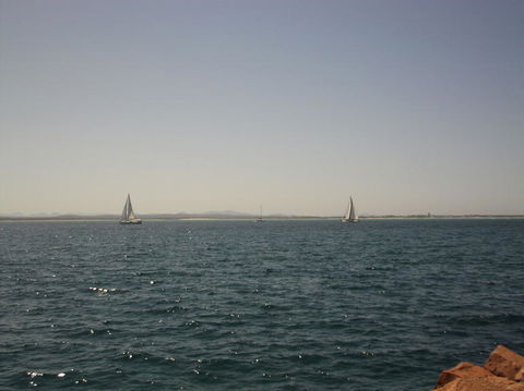 Port Stephens Day Tour With Dolphin Watching, Sandboarding & Australian Wildlife - Accommodation ACT 3