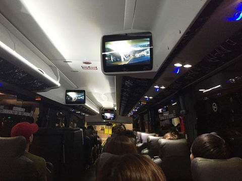 Port Stephens Day Tour With Dolphin Watching, Sandboarding & Australian Wildlife - Accommodation ACT 16