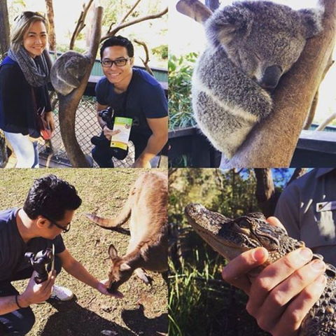 Port Stephens Day Tour With Dolphin Watching, Sandboarding & Australian Wildlife - Accommodation ACT 11