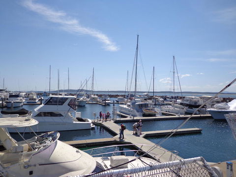 Port Stephens Day Tour With Dolphin Watching, Sandboarding & Australian Wildlife - Accommodation ACT 24