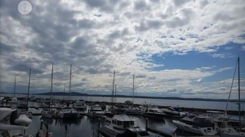 Port Stephens Day Tour With Dolphin Watching, Sandboarding & Australian Wildlife - Accommodation ACT 8