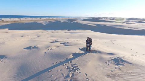 Port Stephens Day Tour With Dolphin Watching, Sandboarding & Australian Wildlife - Accommodation ACT 10